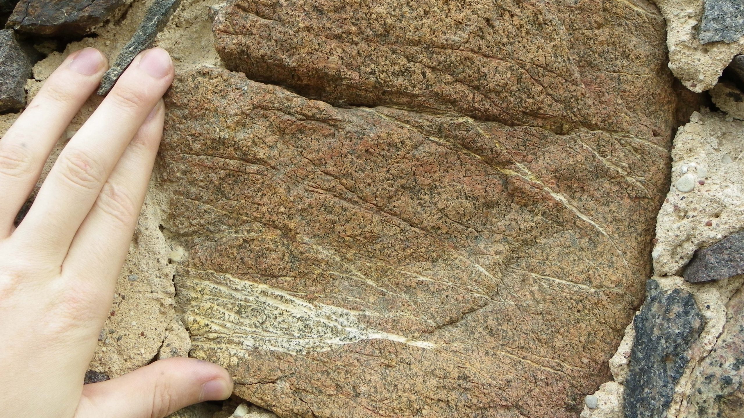 geologija giasociacija